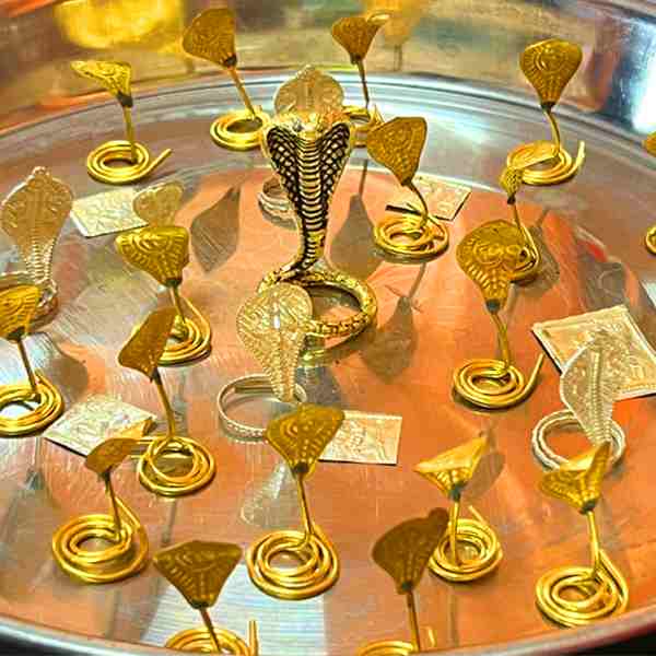 Narayan Bali Puja in Trimbakeshwar