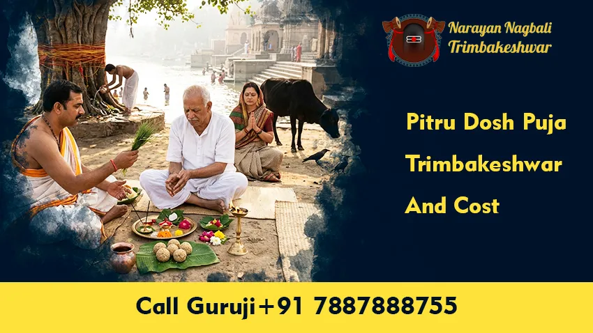Pitru Dosh Puja Trimbakeshwar And Cost